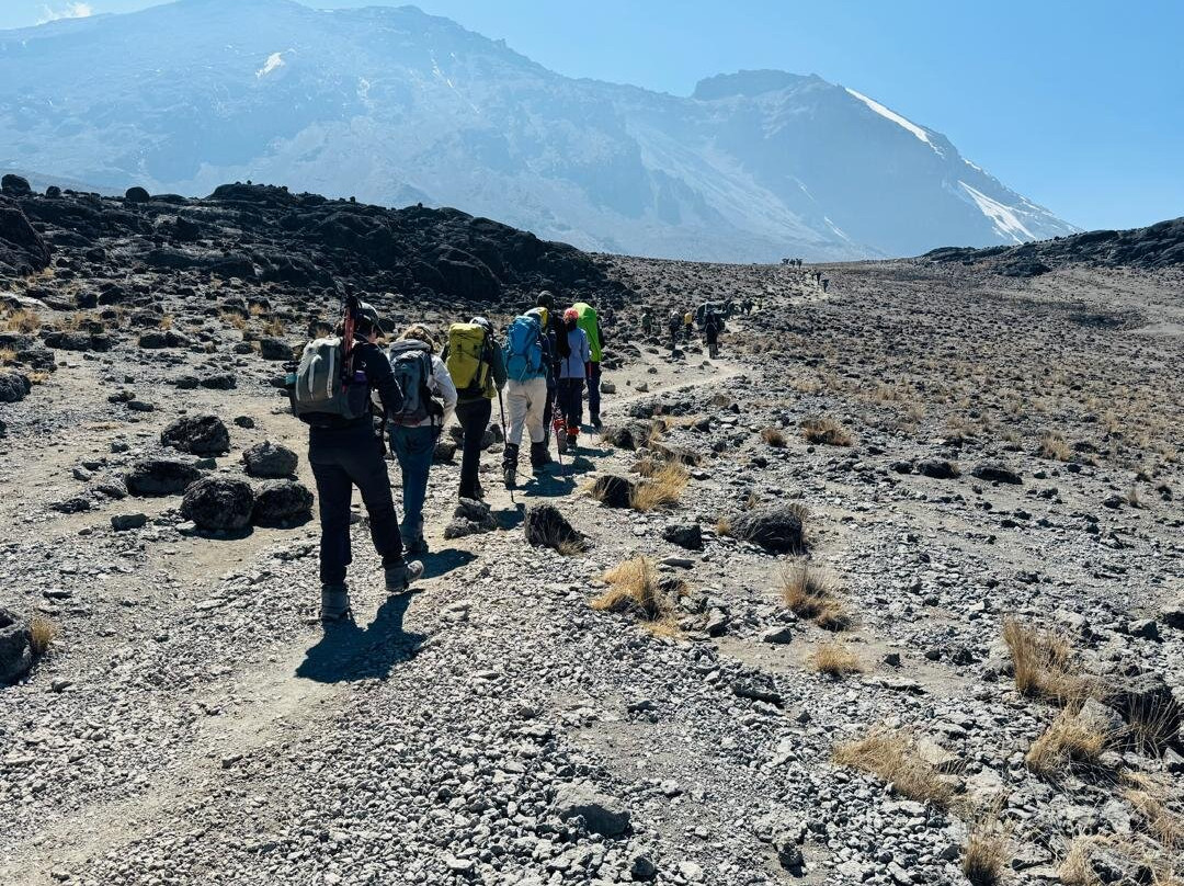 Kili Treks Tanzania-莫西必去景点