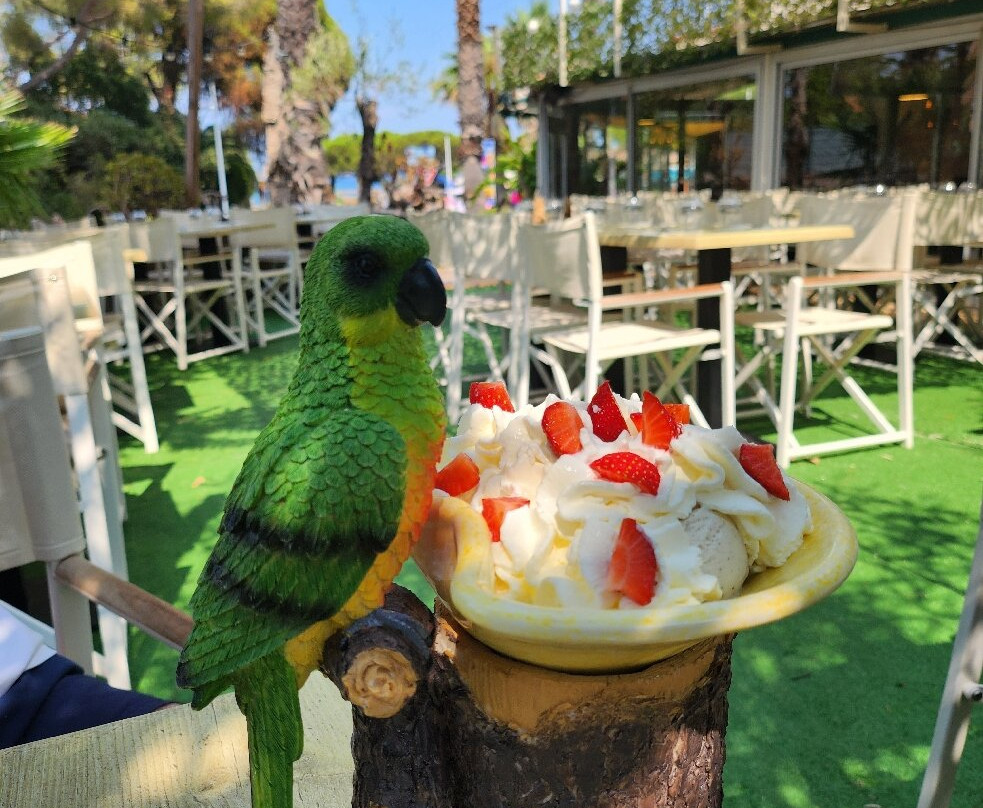 La Olla Pub-Restaurant