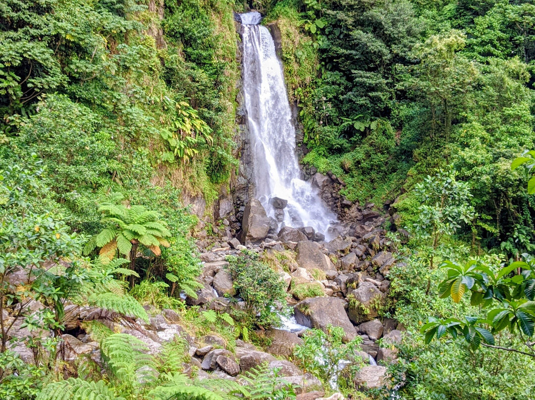Waitukubuli Adventure Tour Co.-罗索必去景点