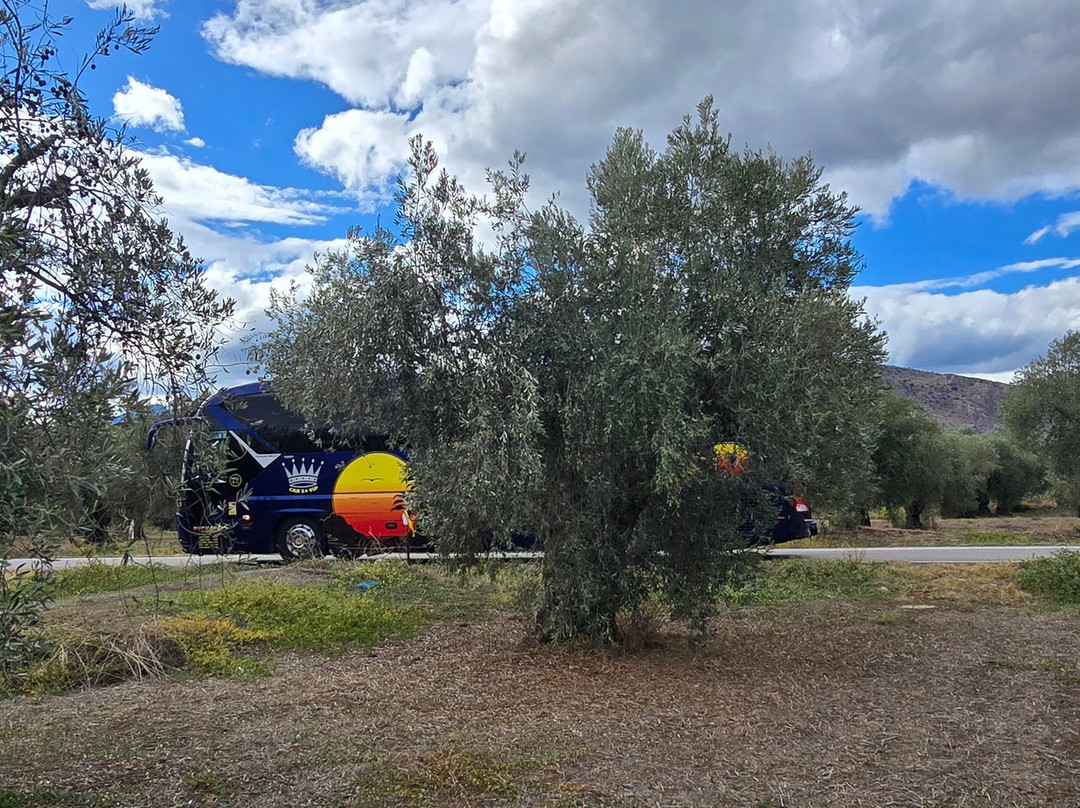 socrates olive oil tasting-Itea必去景点