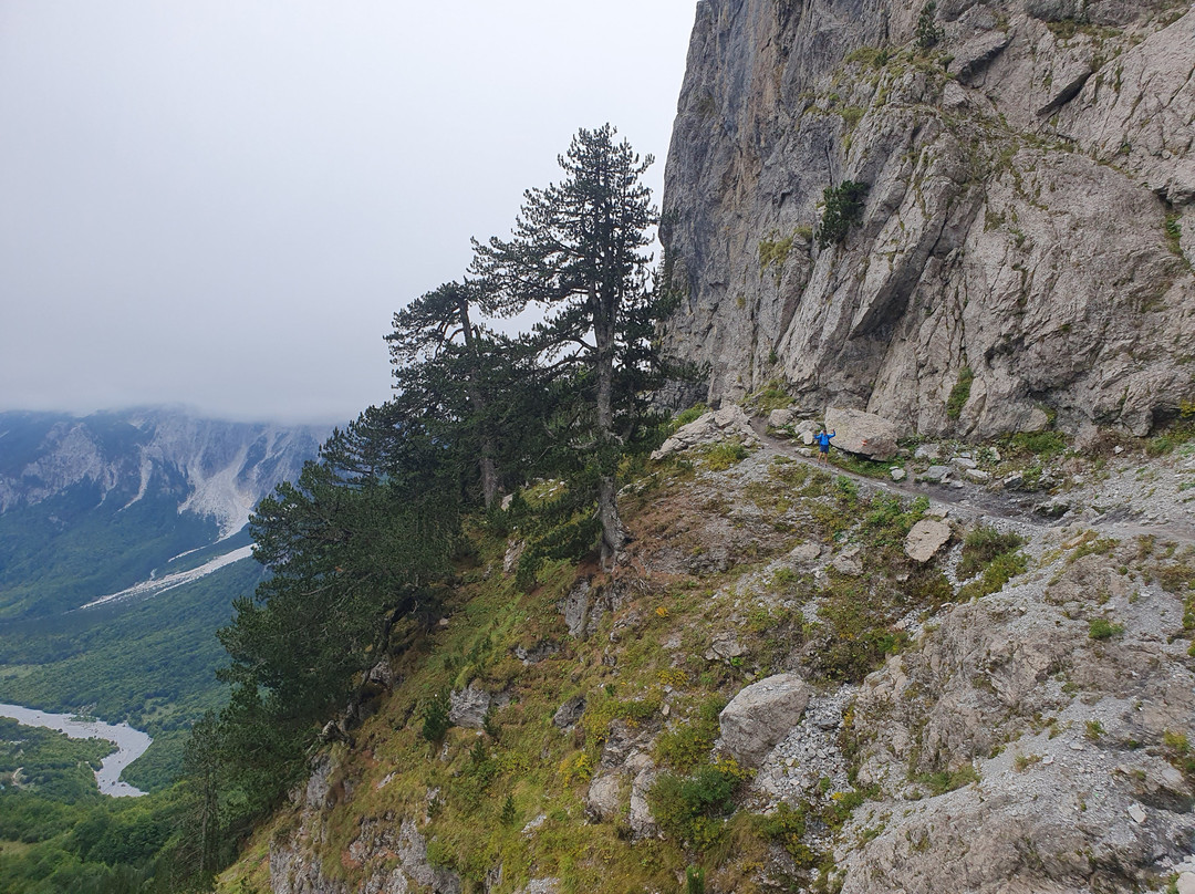 TREK BALKAN LLC-普里什蒂纳必去景点