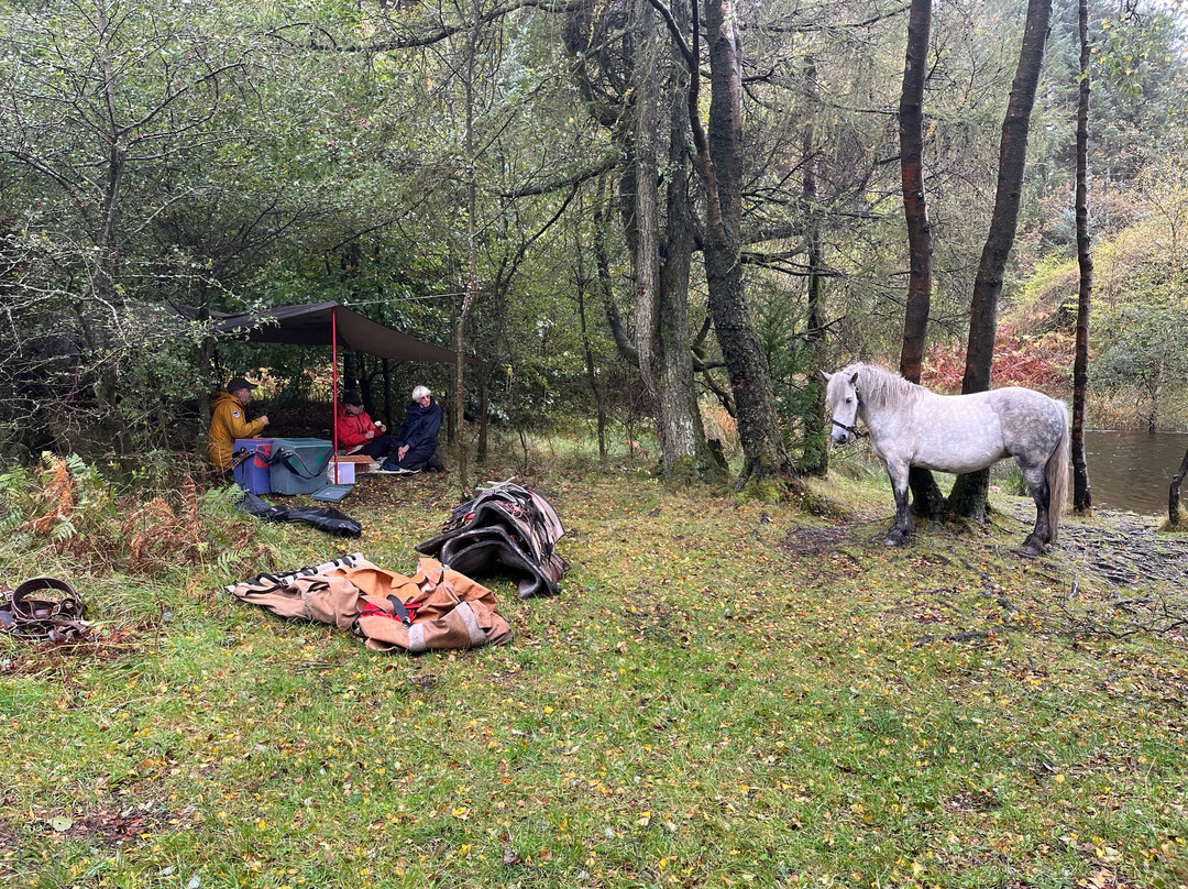 Fell Pony Adventures-温德米尔必去景点