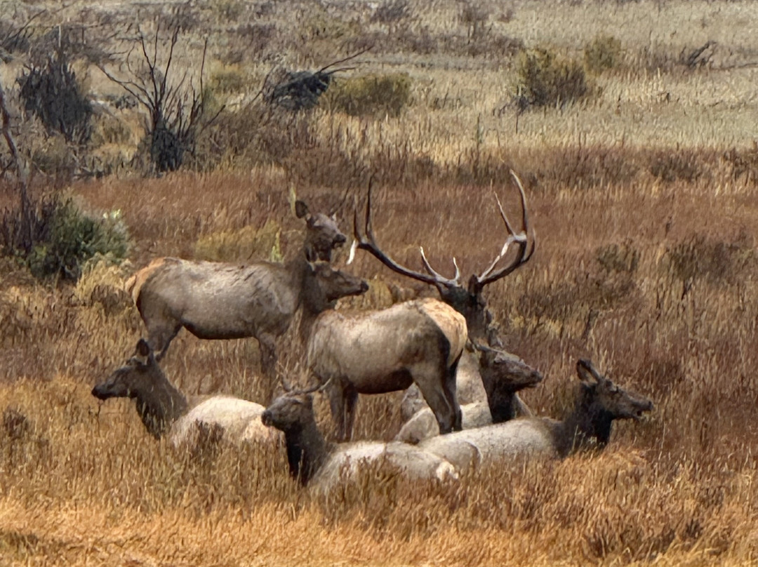 Footpaths of the World - Day Tours-埃斯蒂斯公园必去景点