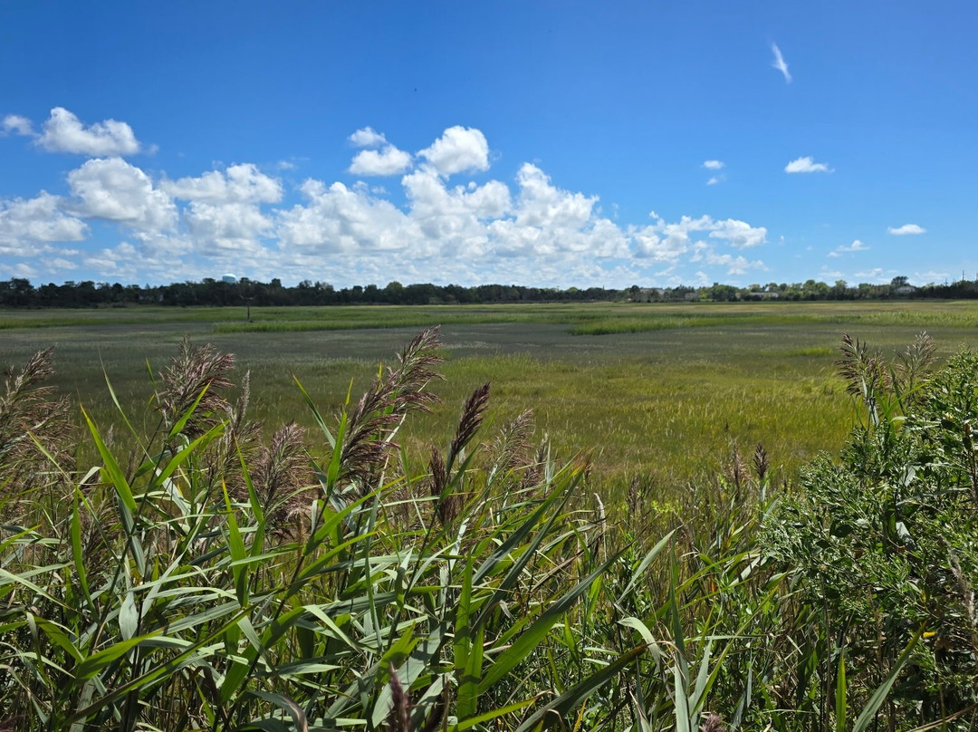 Garrett Family Preserve-开普梅必去景点