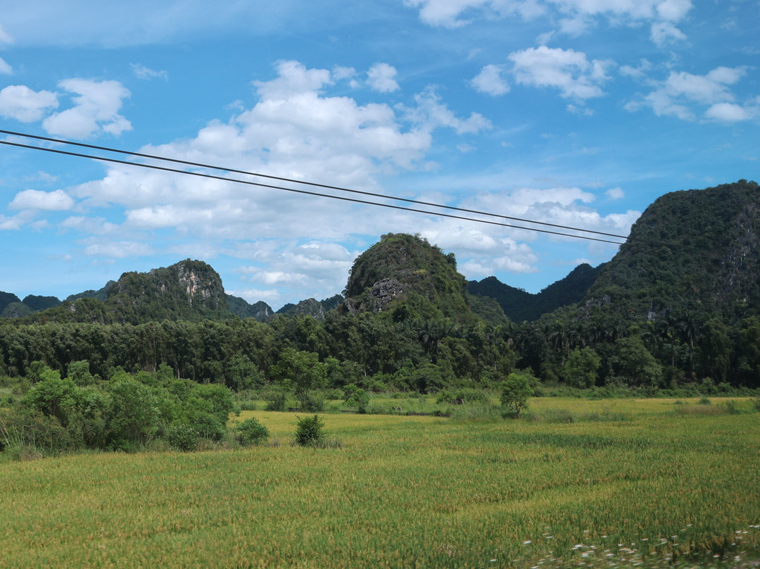 Hoa Dong Hotel主图