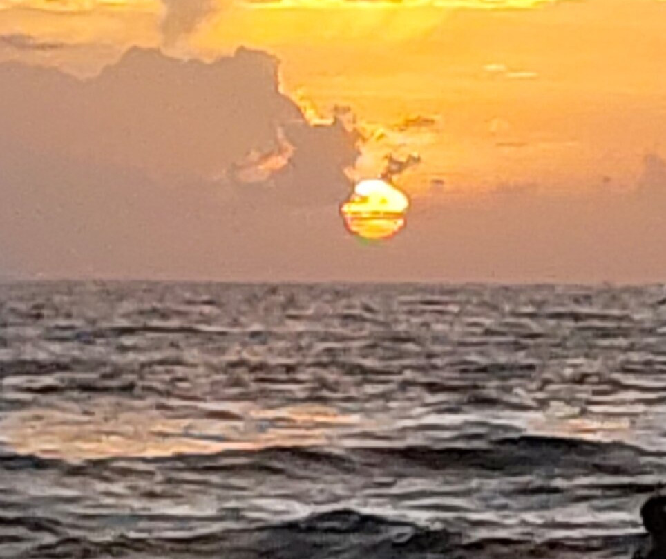 Coconut Grove Beach Resort主图