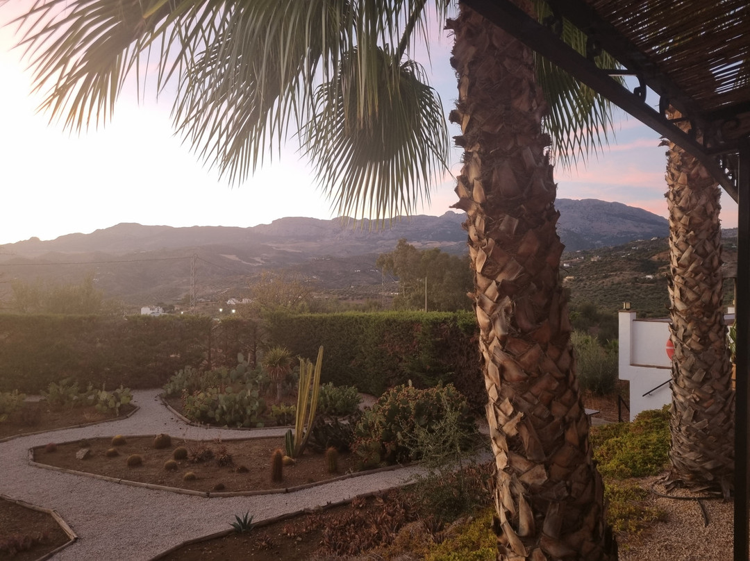 B&b Hacienda Riogordo主图