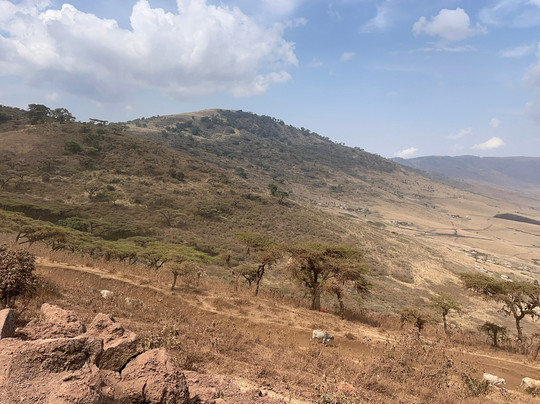 Escape To Tanzania Trekking & Safaris-莫西必去景点