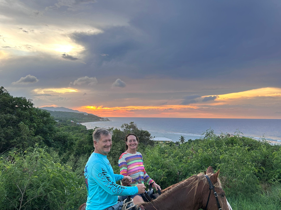 Equus Rides Horseback Riding St. Croix-Frederiksted必去景点