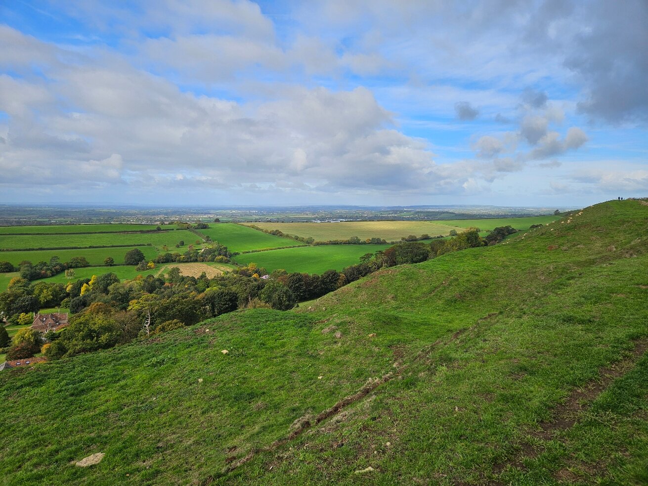 The Queens Arms-官方