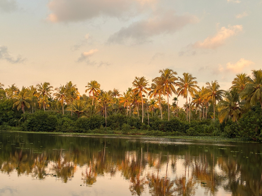 Ennakathara Arya Vaidya Sala-Chottanikkara必去景点