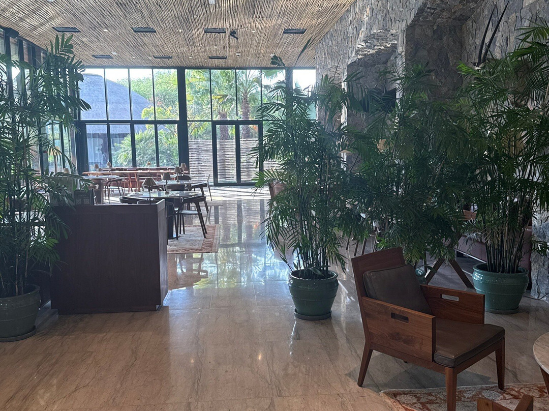 Dubai Crocodile Park-迪拜必去景点