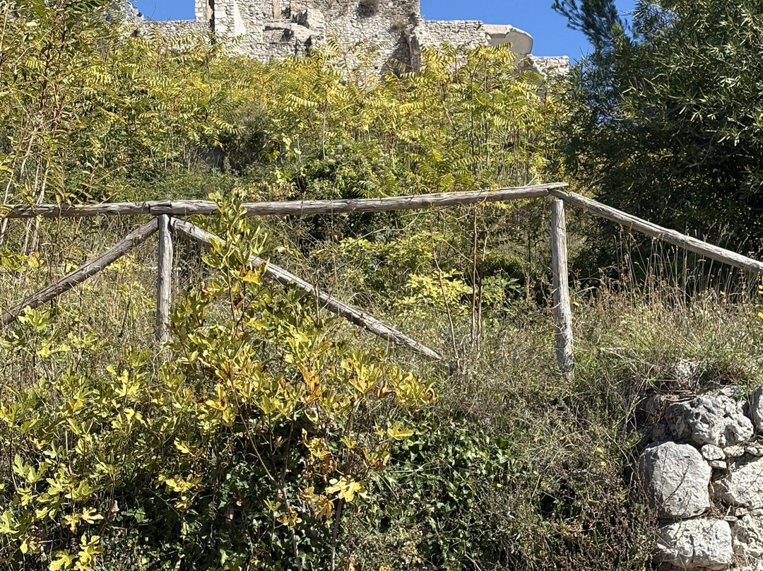 Monte Cassino Battlefield Tours By Dr. Danila Bracaglia-卡西诺必去景点