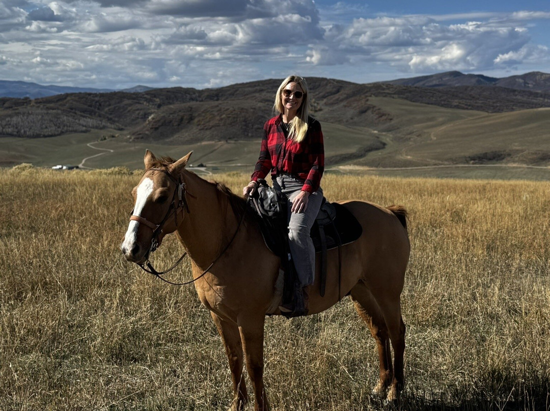 Saddleback Ranch-斯廷博特斯普林斯必去景点