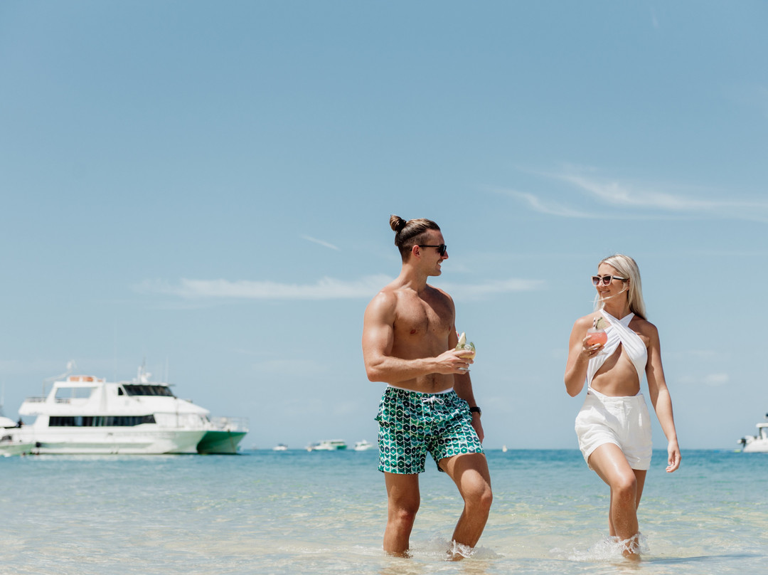 Dolphin Wild Island Cruises-布里斯班必去景点