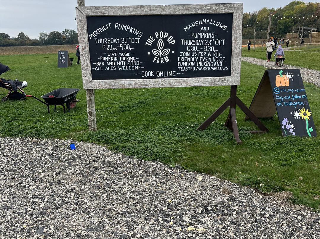 The Pop Up Farm-Redbourn必去景点