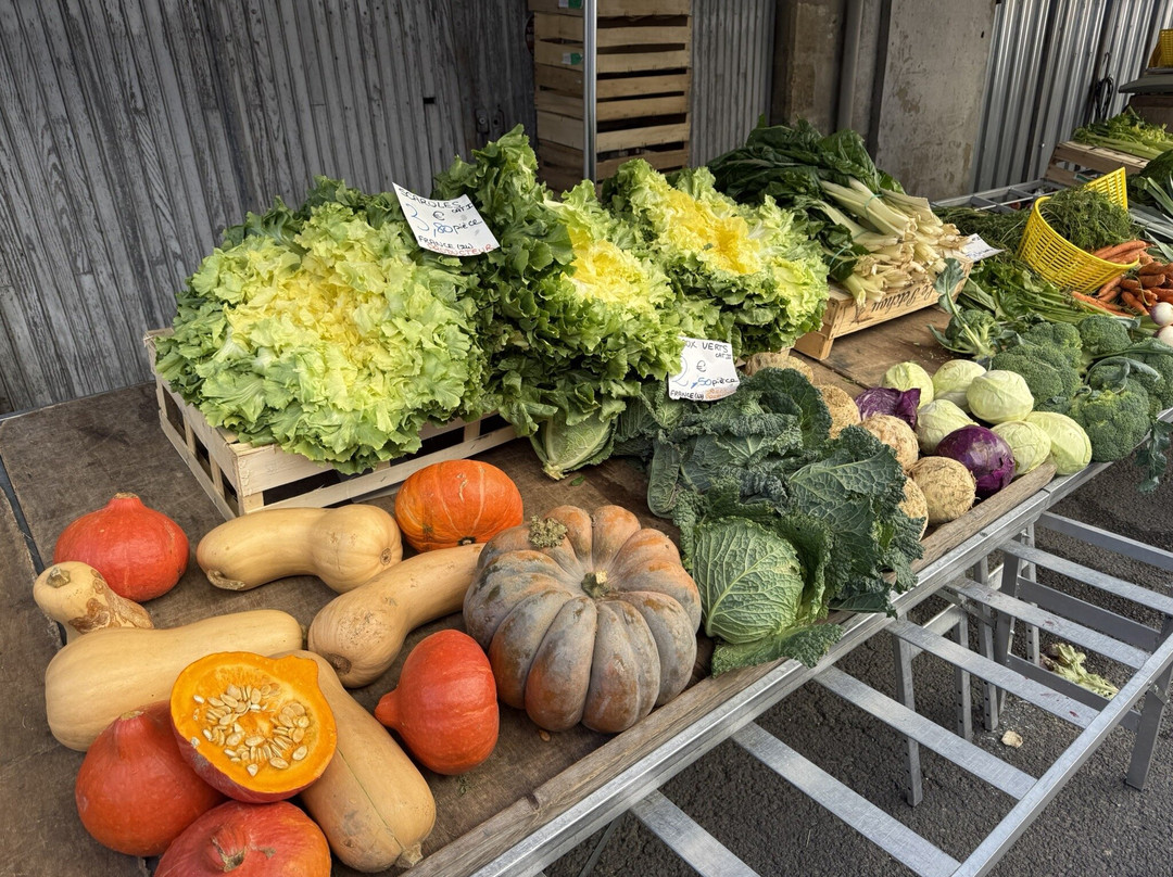 Marche de Sainte Foy-la-Grande-大圣富瓦必去景点