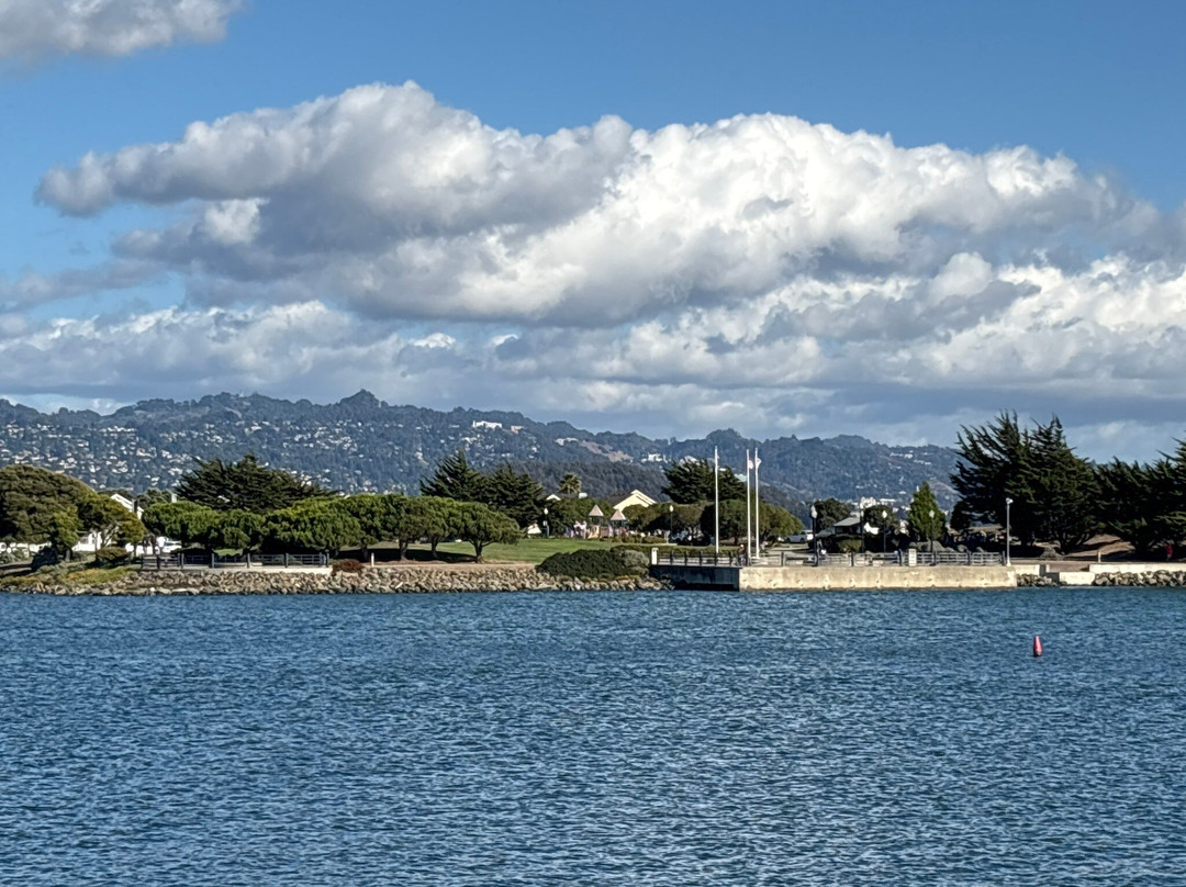Barbara And Jay Vincent Park