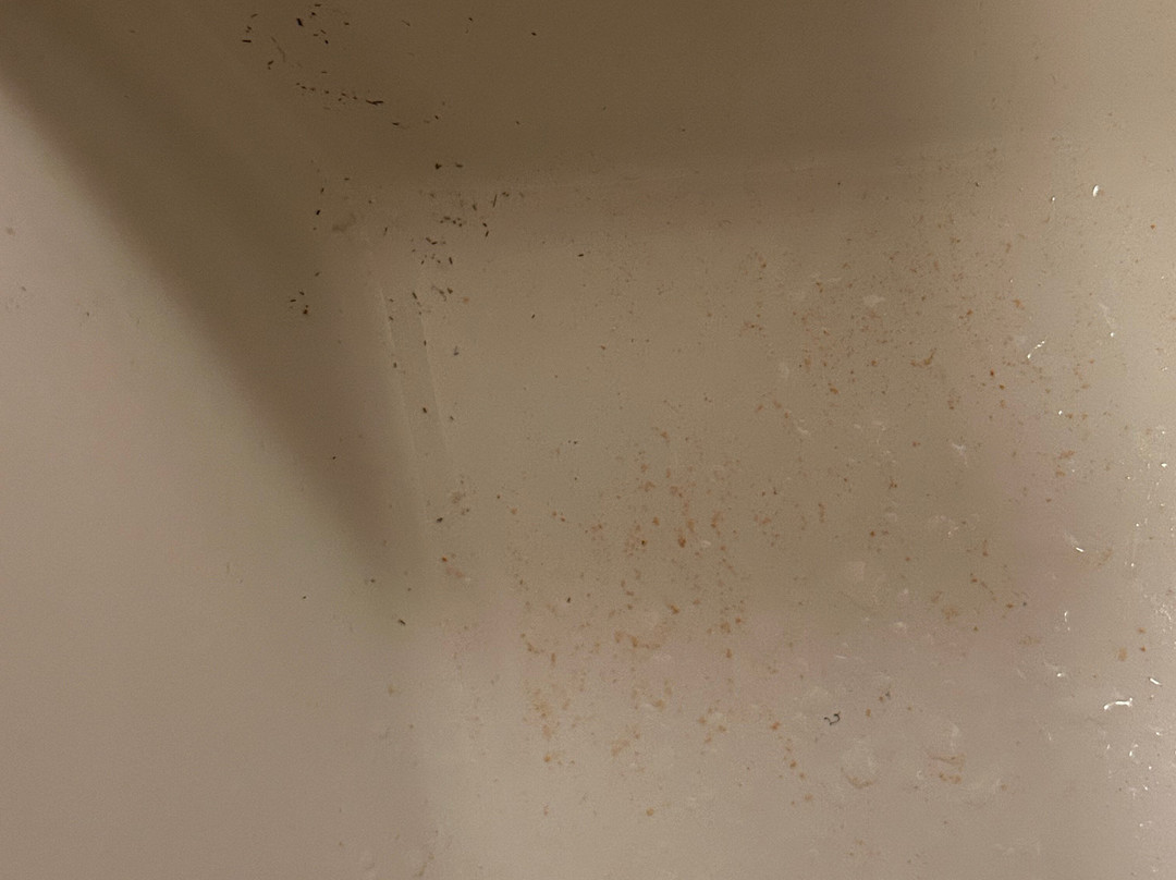 Best Western Plus Kindersley Hotel主图