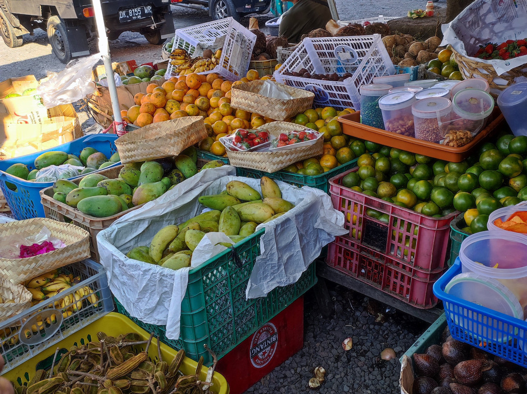 Bali Guide Francophone-登巴萨必去景点