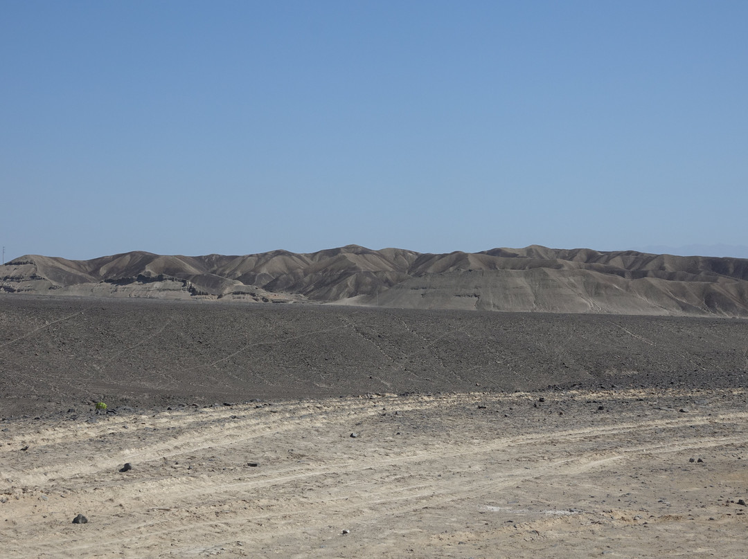 Geoglifos de Palpa-Palpa必去景点