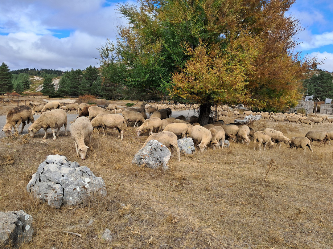 Nacimiento del Rio Tajo-Frias de Albarracin必去景点