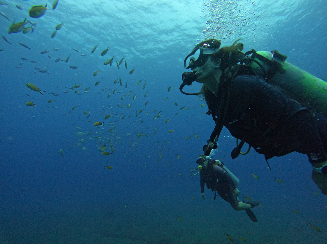 Boipeba Mergulho - Scuba Diving Center-Morere必去景点