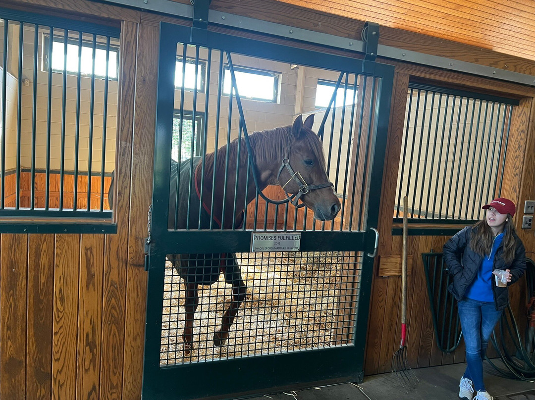 WinStar Farm-Versailles必去景点