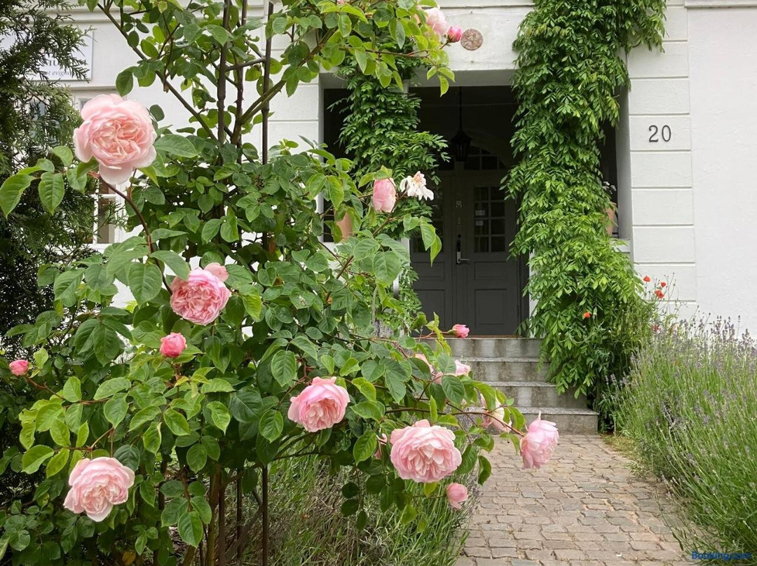 B&b Osterlens Rosentradgard
