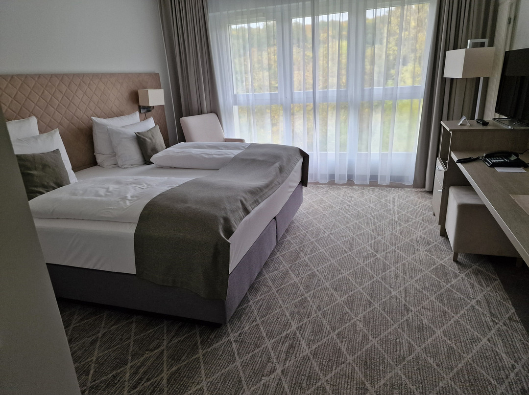 Victor's Residenz-hotel Teistungenburg主图