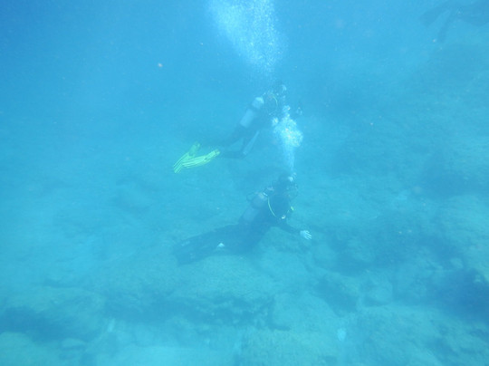 The Waterhoppers Diving School-罗德城必去景点