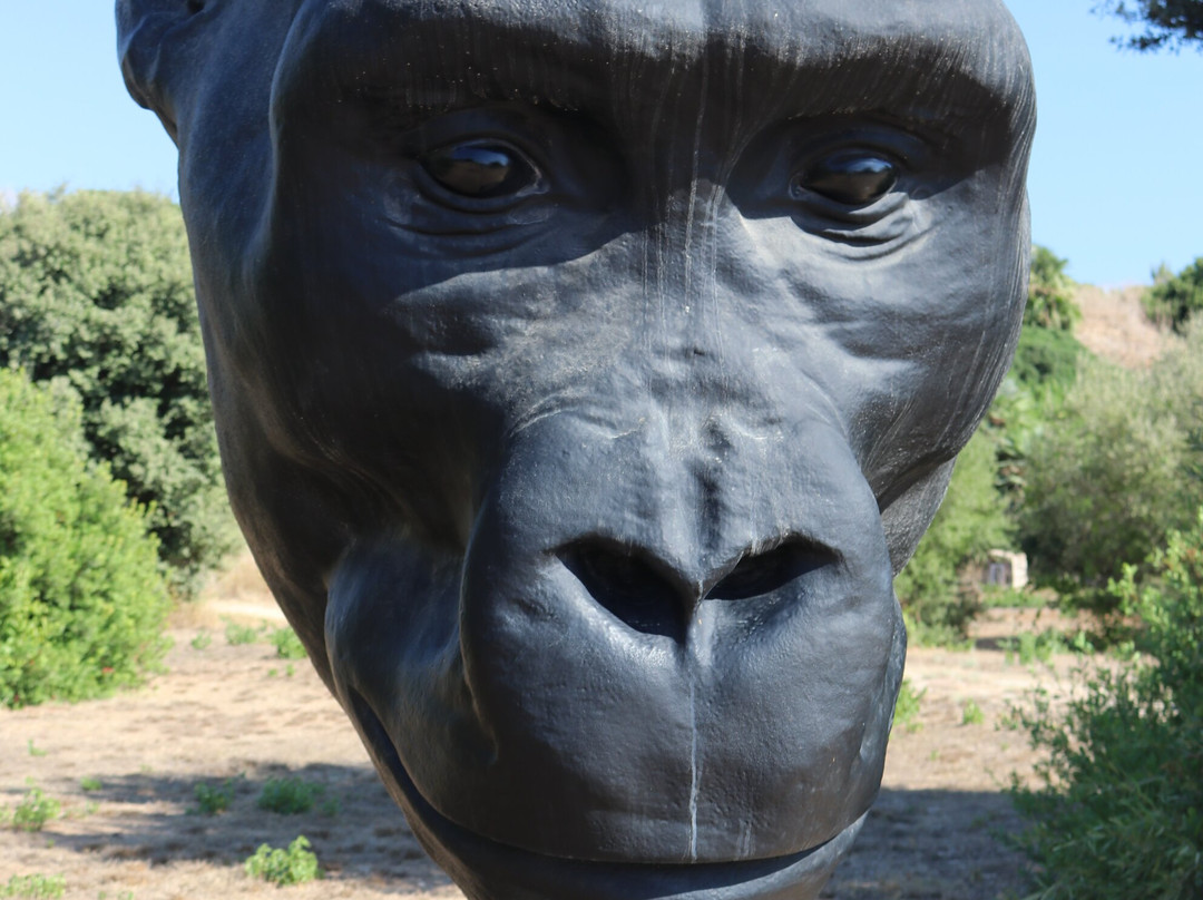 Parco Archeologico di Selinunte-Marinella di Selinunte必去景点