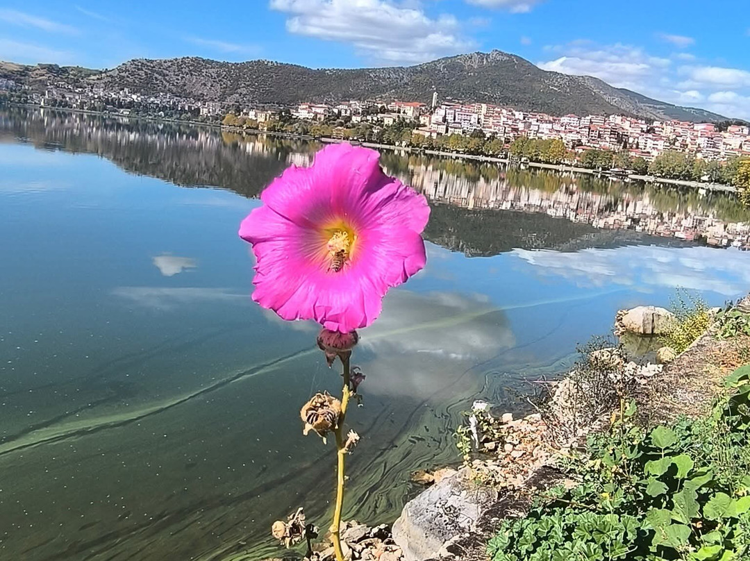 Ancient Greece Tours & Transfers-雅典必去景点