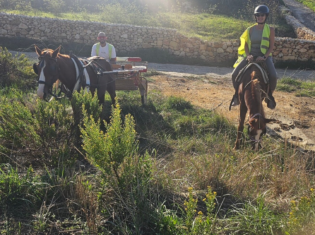 Lino's Stables-Xaghra必去景点