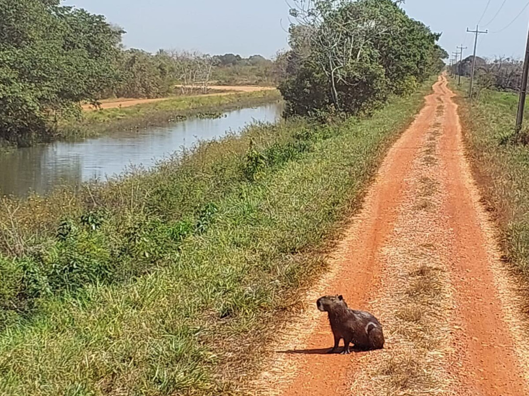 Fazenda San Francisco-米兰达必去景点