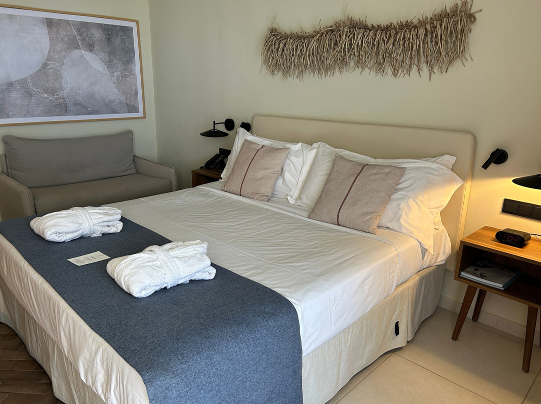 Domes Aulūs Zante, Autograph Collection主图