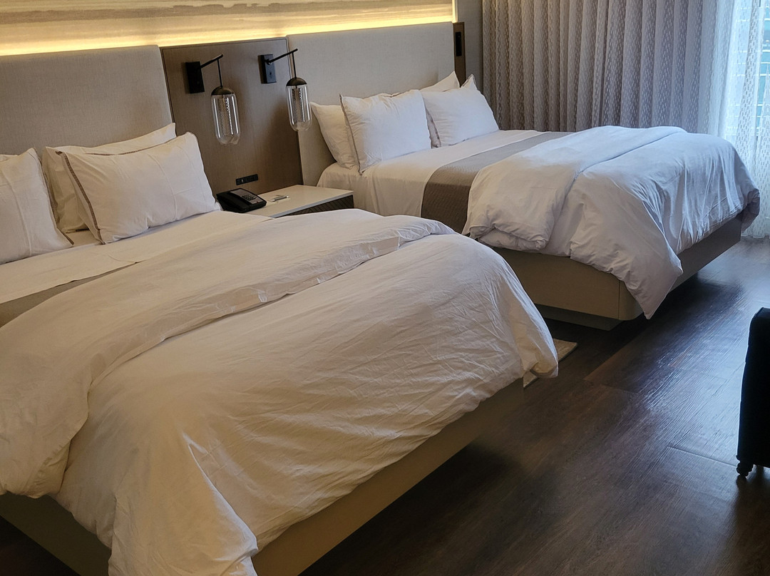 印第安纳波利斯威斯汀酒店主图