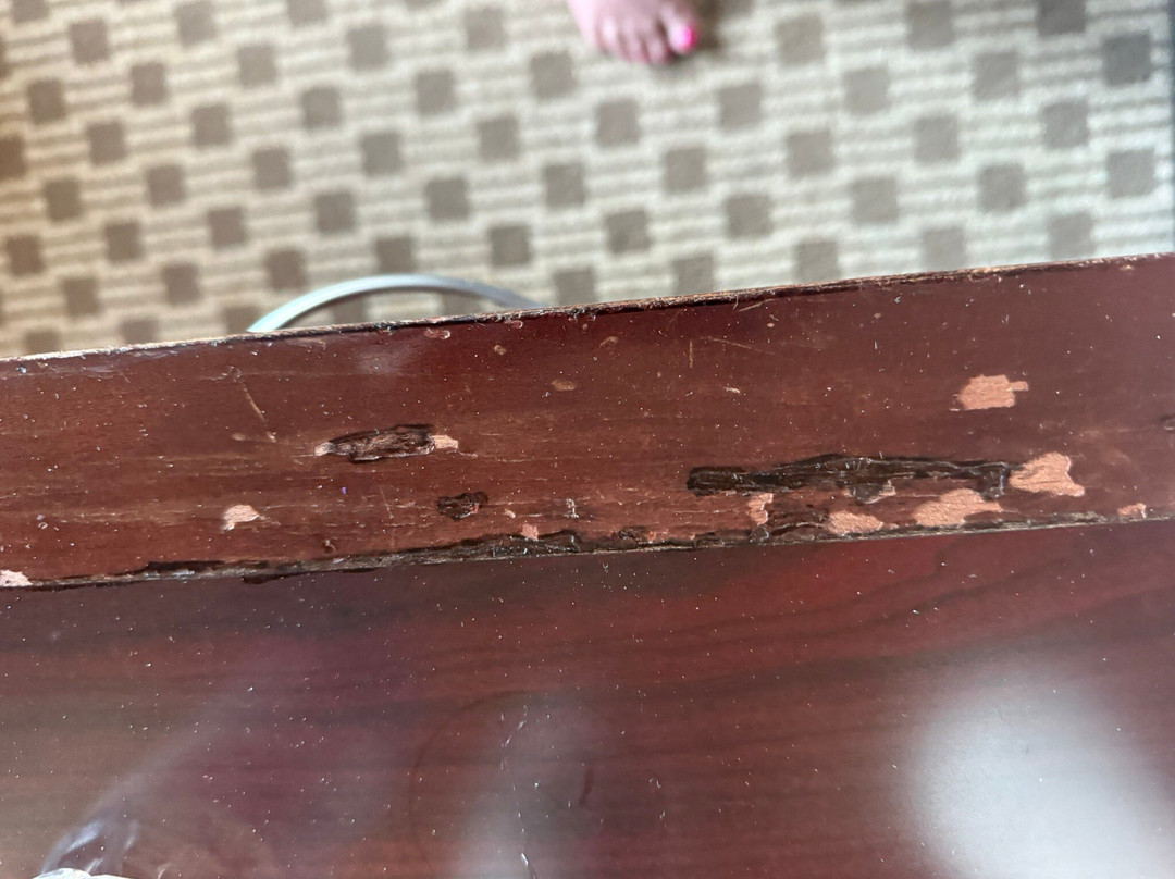 辛辛那提布鲁阿什希尔顿花园酒店主图