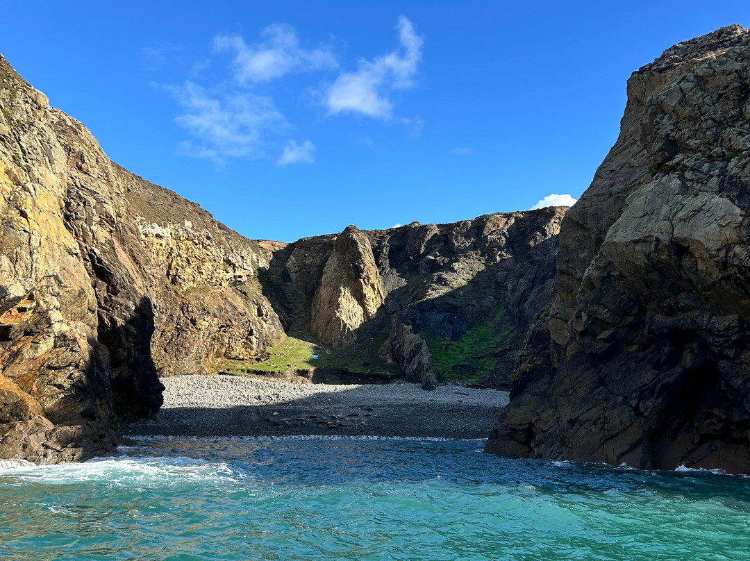 Voyages of Discovery (Ramsey Island)-St. Davids必去景点