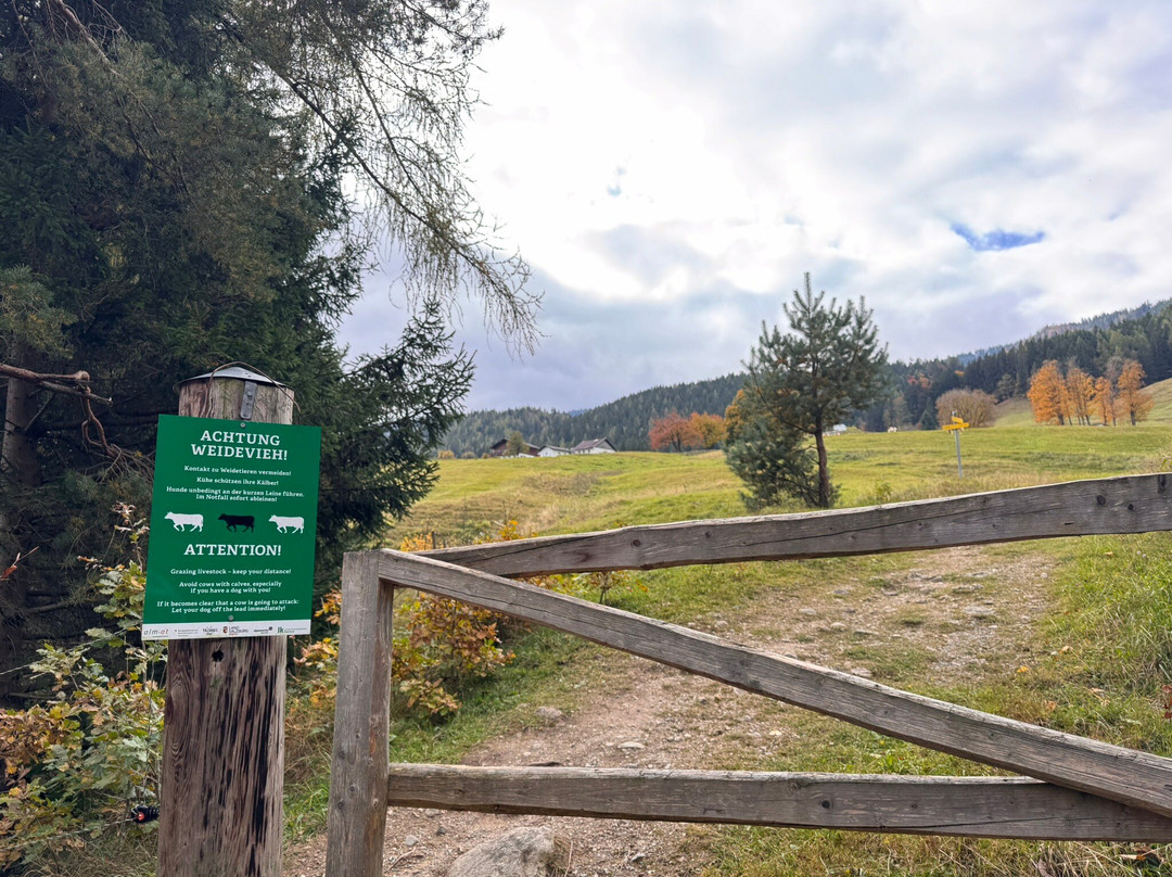 The Sound of Music Trail-维尔芬必去景点