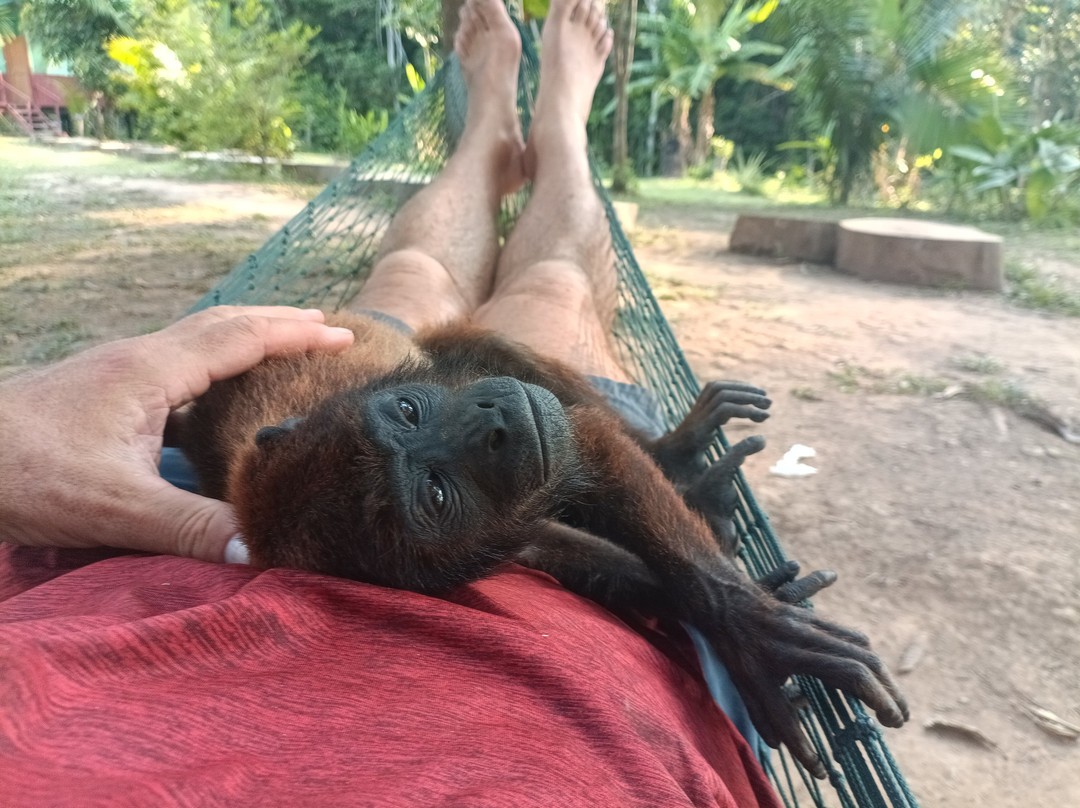 Tambopata Wild Life Perú