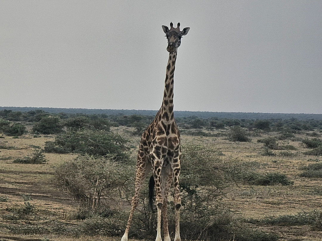 White Snow Travel-坦噶必去景点