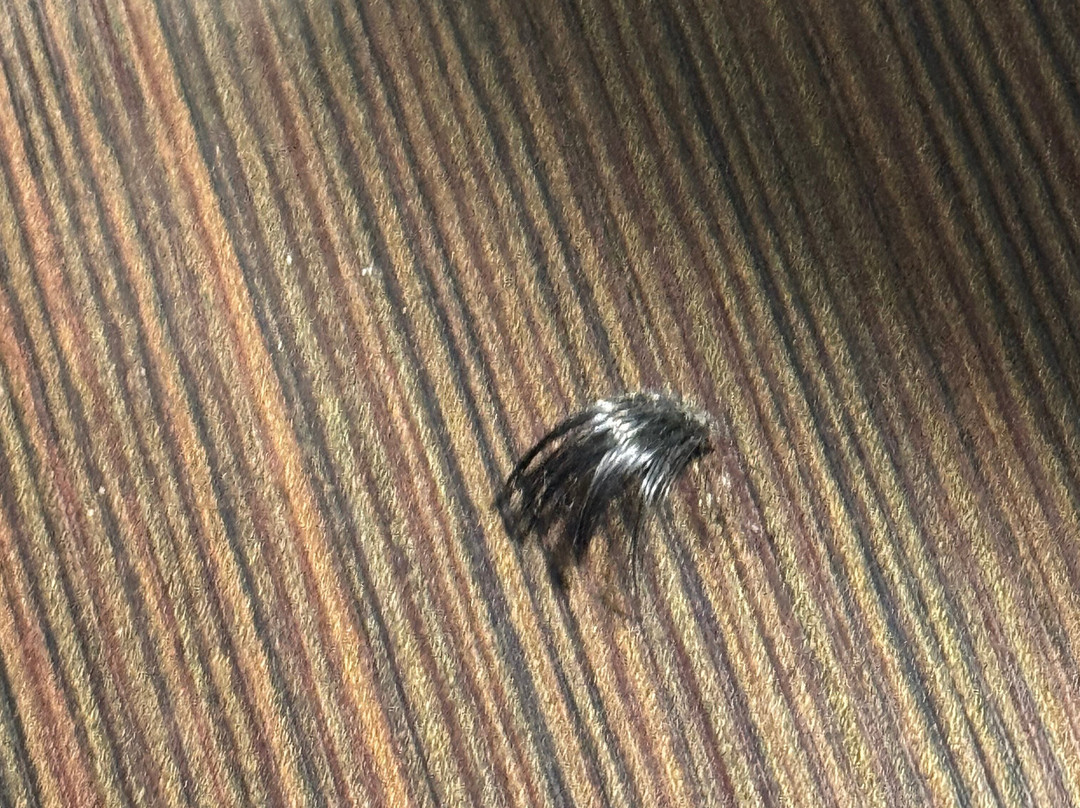 Hampton Inn & Suites Charlotte/pineville主图