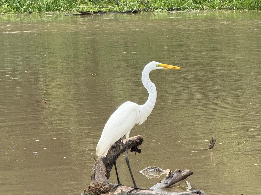 Aqua Expeditions-利马必去景点
