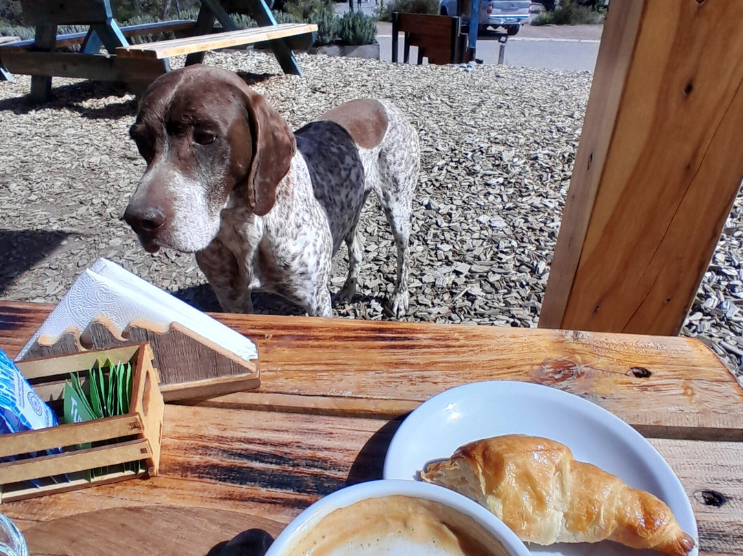 Rucafe, Helados, Chocolates Y Cafe