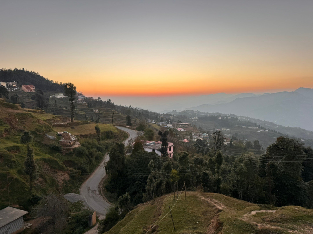 Te Aroha By Shervani主图