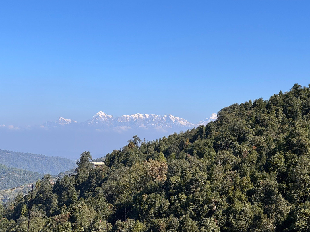 Te Aroha By Shervani主图