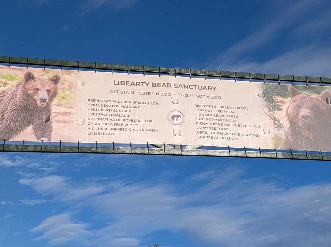 Libearty Bear Sanctuary Zarnesti-Zarnesti必去景点