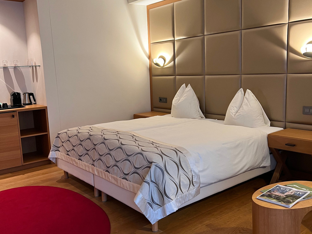 Hotel Alte Post Bonaduz主图