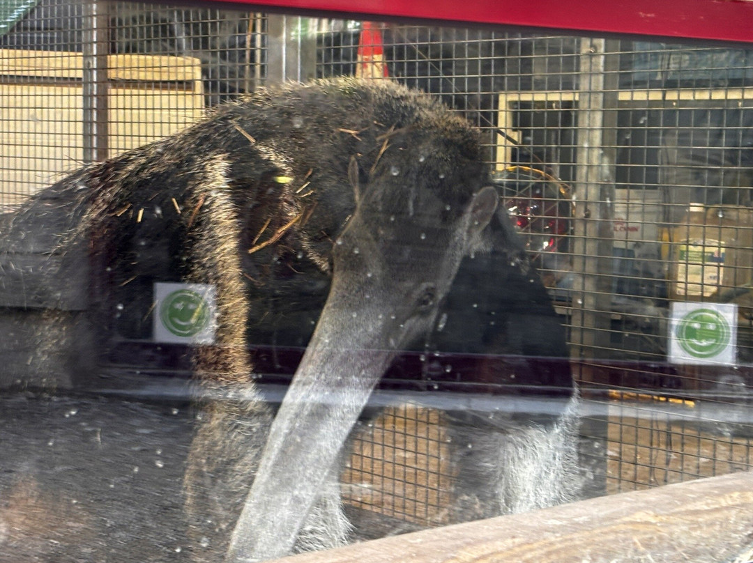 Bio-topia-敦克尔克必去景点